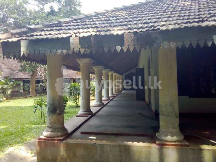 72 Acres Land With Colonial Bungalow For Sale In Central Province. in Kandy