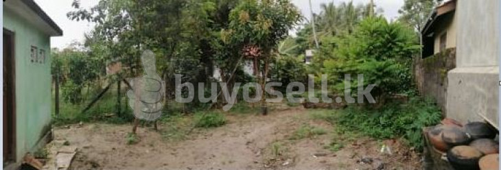 Land with House for sale - Negombo in Gampaha