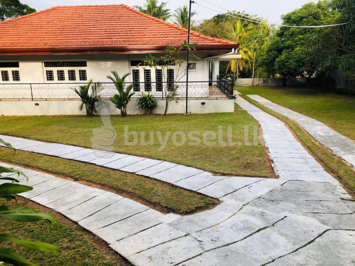 House for Lease for sale in Colombo