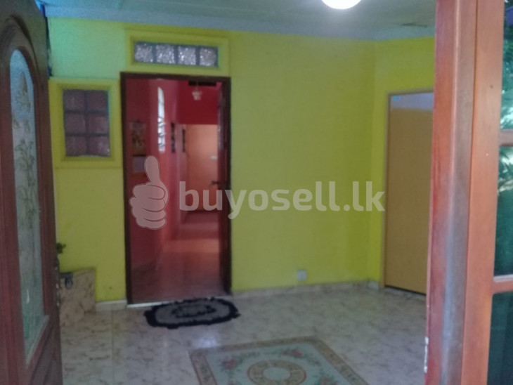House for Rent for sale in Colombo