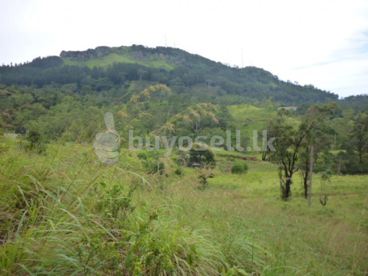 14.4p Land For Sale In Kandy Hanthana in Kandy
