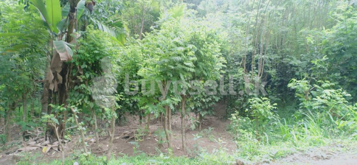 28p (7x4) Land For Sale In Kandy Katugasthota in Kandy