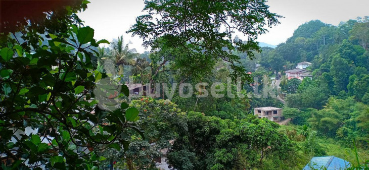 20p Land For Sale In Kandy Asgiriyav in Kandy