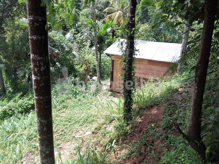 11p Land For Sale In Kandy Dawlagala in Kandy