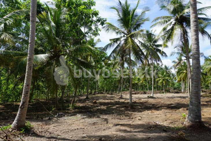Prime Land In The Heart Of Thalpe in Galle