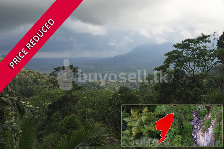 Stunning 18.5 Acres Of Rain Forest Land With Waterfall – Ella in Badulla