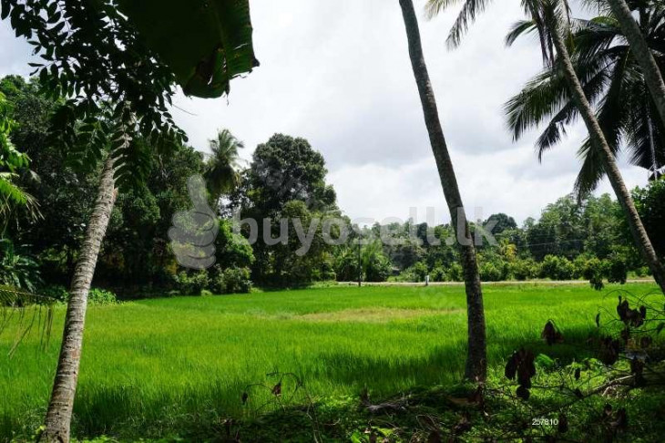 New House, Elevated Paddy Field Views for sale in Galle