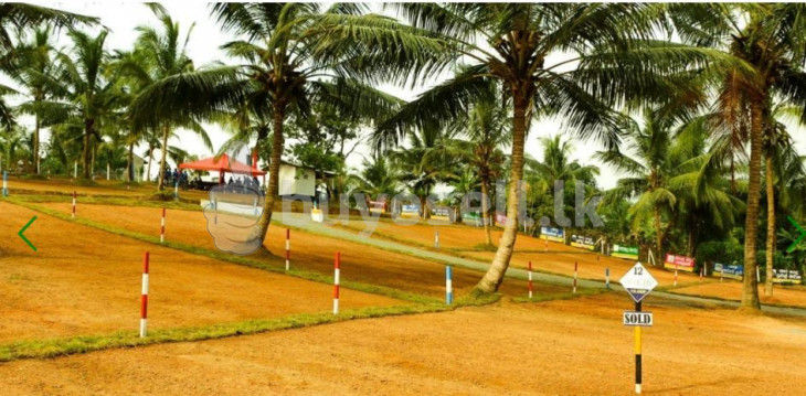 Ja-Ela – Grand Court in Gampaha