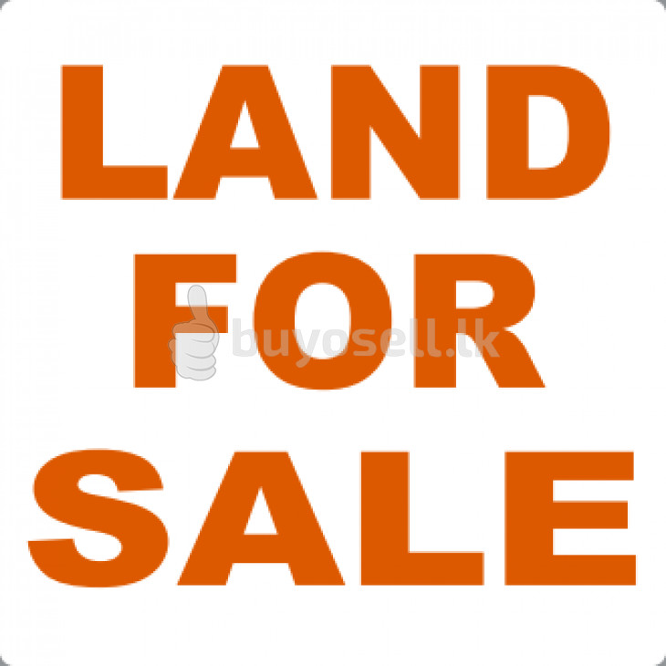 Commercial Land For Sale in Gampaha