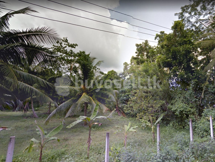 Land for Sale in Wathumulla Udugampola Gampaha in Gampaha