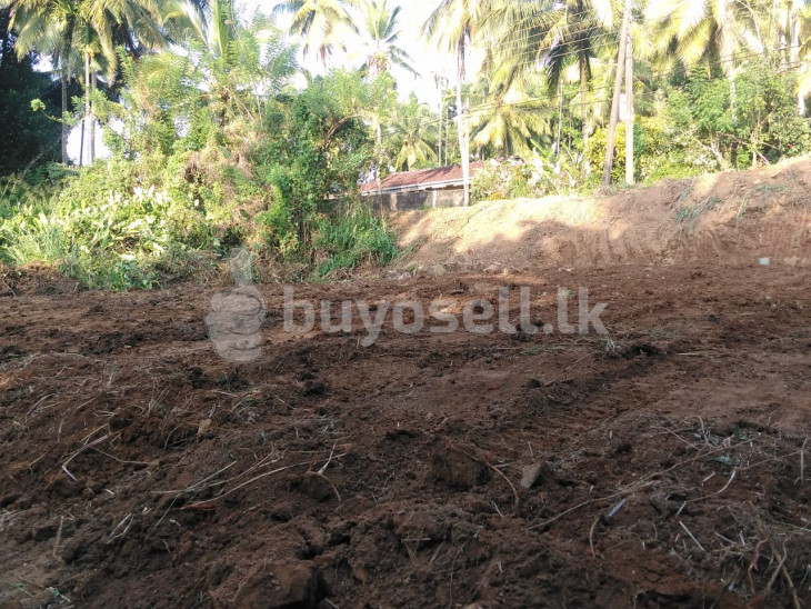 Land for sale near to Mawanalla city in Kegalle