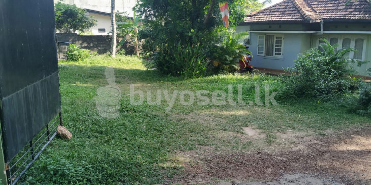 Land for Sale - Boralesgamuwa in Colombo