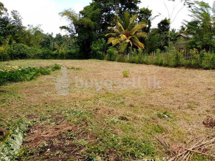 Land for sale in Mawanella in Kegalle