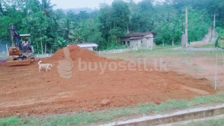 Land for sale kuruwita in Ratnapura