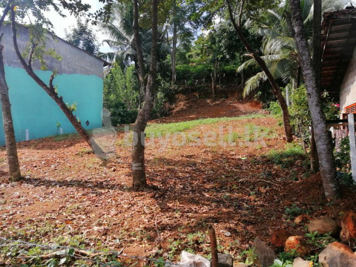 Land for Sale in Galle in Galle