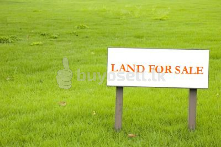 Land for Sale - Horana in Kalutara