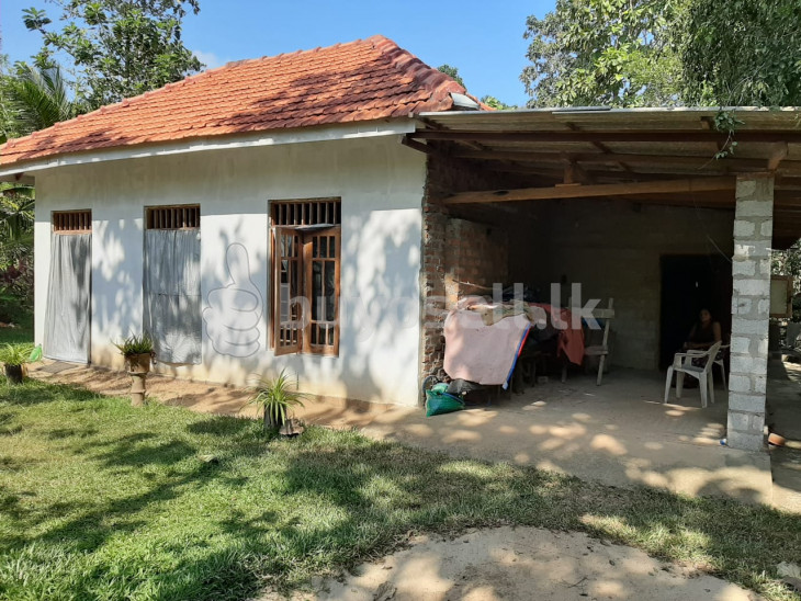 House with Land for Sale Katana for sale in Gampaha