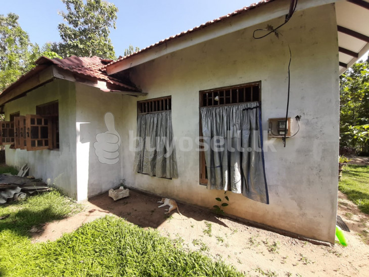 House with Land for Sale Katana for sale in Gampaha