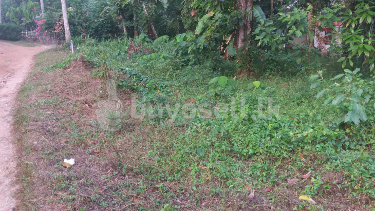 Land for Sale in Polgahawela in Kurunegala