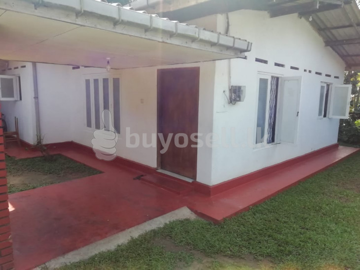 House for Sale in Panadura for sale in Kalutara