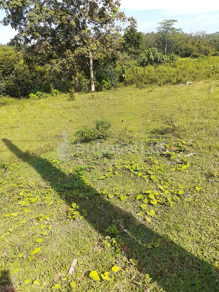 Land for Sale in Hanwella in Colombo