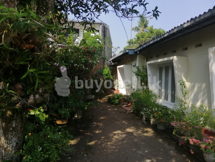 Borella Senanayake Junction 8.5 Perch Facing Main Road Squire  Commecial Block For Sale for sale in Colombo