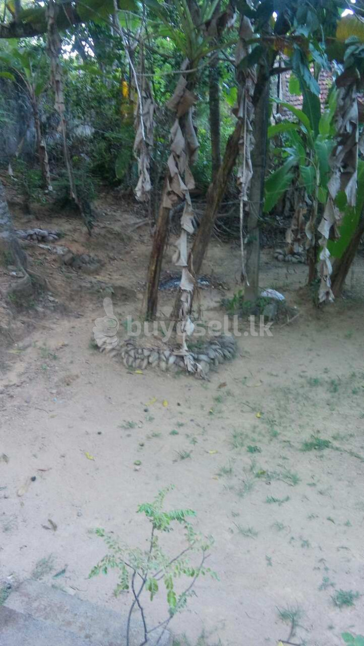 8 Perches Land Sale In Kegalle in Kegalle