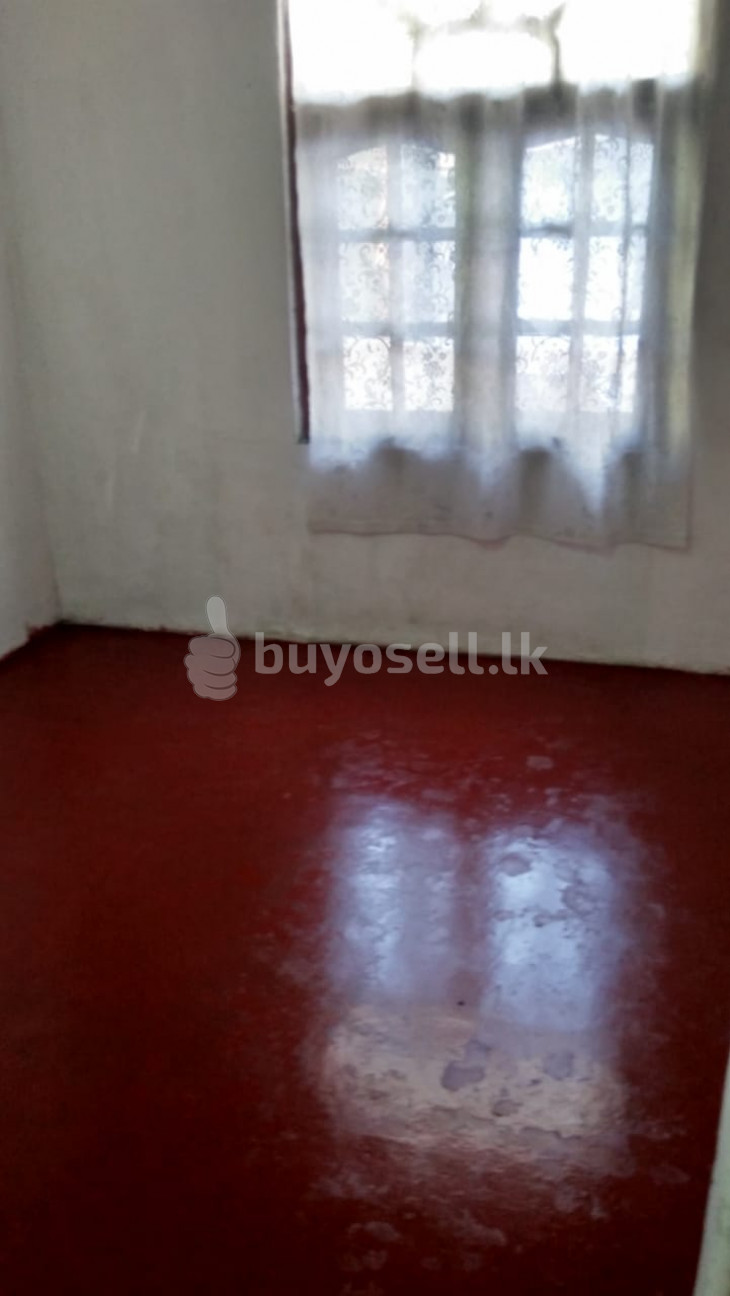 House for Rent for sale in Colombo