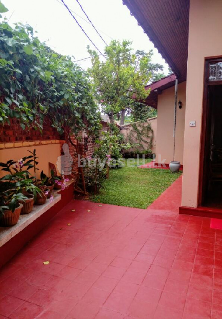 Land with house for sale in wijerama for sale in Colombo
