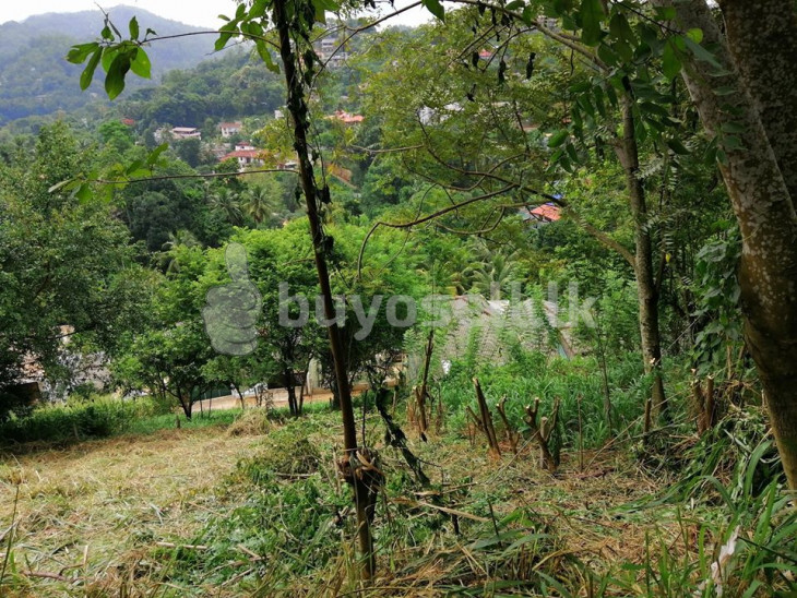 12.5p Land For Sale In Kandy Aniwatta in Kandy