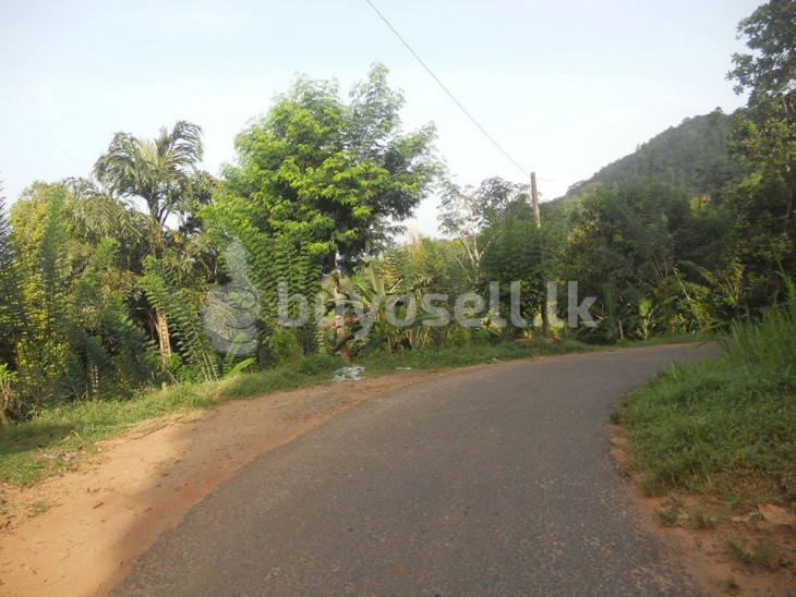 11p, 22p, 44p Mountain View Land For Sale In Kandy. in Kandy