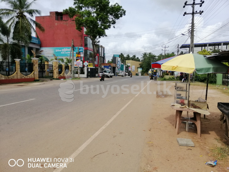 110 Perch Land  For Sale Middle of City Facing Main Road in Puttalam
