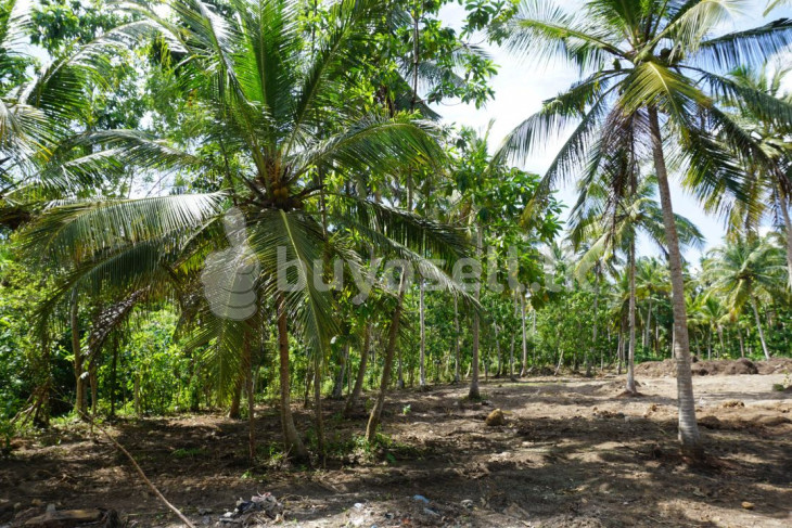 Prime Land In The Heart Of Thalpe in Galle