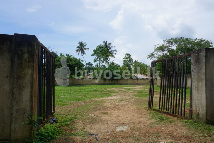 Walled And Ready For Development in Galle