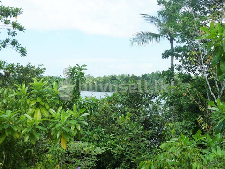 Generous Plot With Impressive Lake Views in Galle