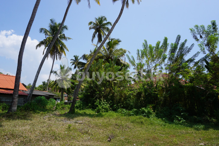 Bare Land, Development, Close To A Great Surfing Beach in Galle
