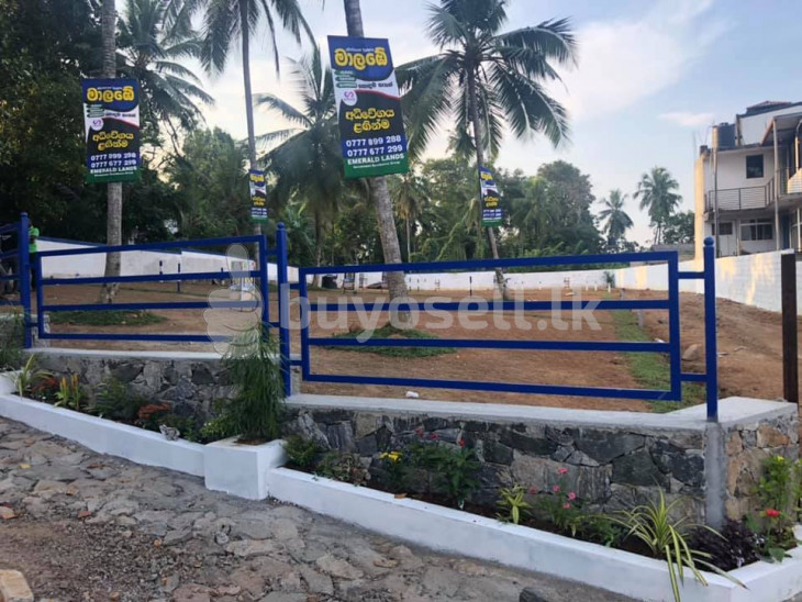 Land for sale in Malabe in Colombo
