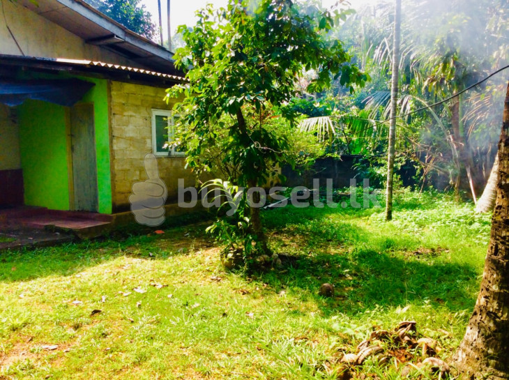 Land for sale Malabe in Colombo