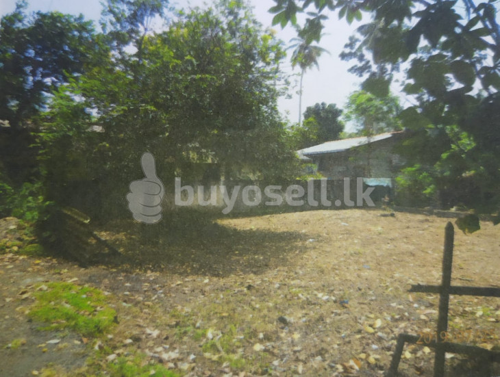 Land For Sell in Pohaddaramulla in Kalutara