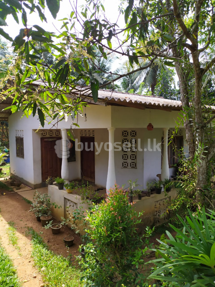 House with Land for Sale - Hanwella for sale in Colombo