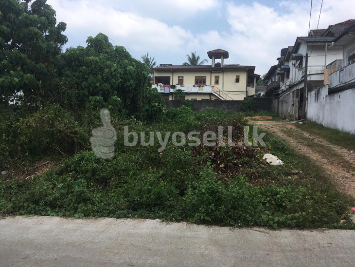 Land for sale in Avissawella in Colombo