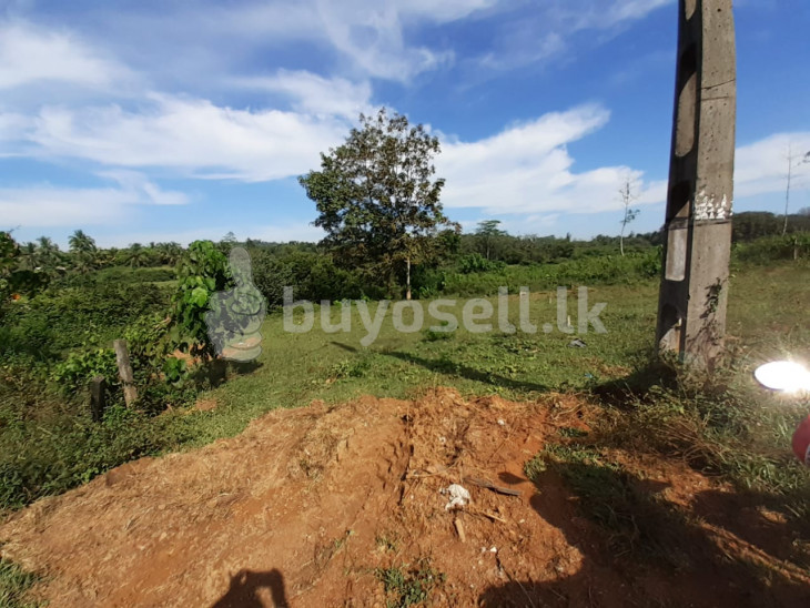 Land for Sale in Hanwella in Colombo