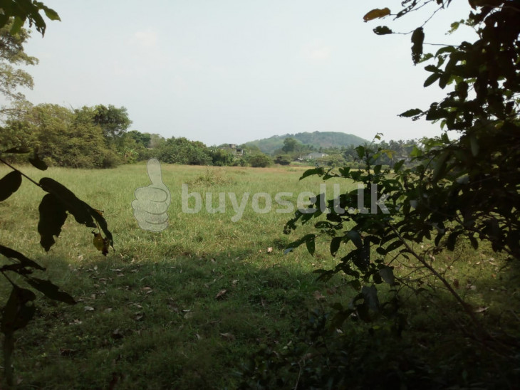 Land for sale at Nawagamuwa Ranala in Colombo