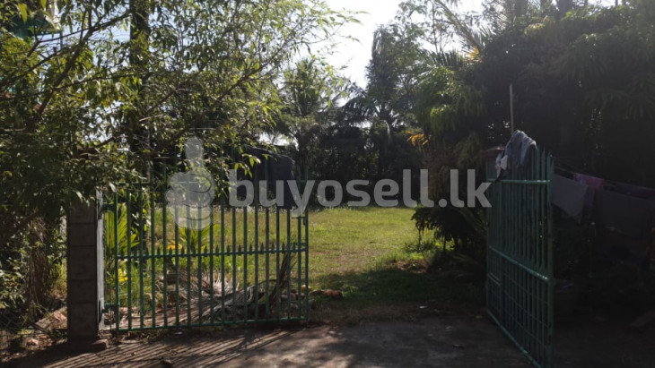 Watthala (Mabola) - Commercial & Residential Property for sale for sale in Gampaha
