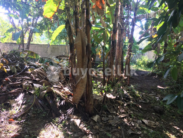 Land for sale in Colombo