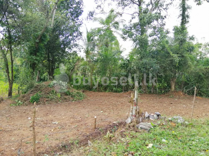 Land for  Sale in Colombo