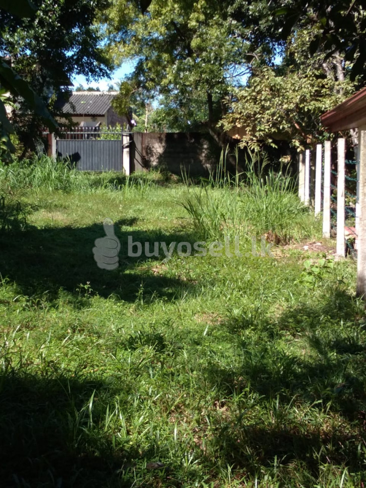 15 Perch and 6 Perch Land for URGENT Sale in Gampaha