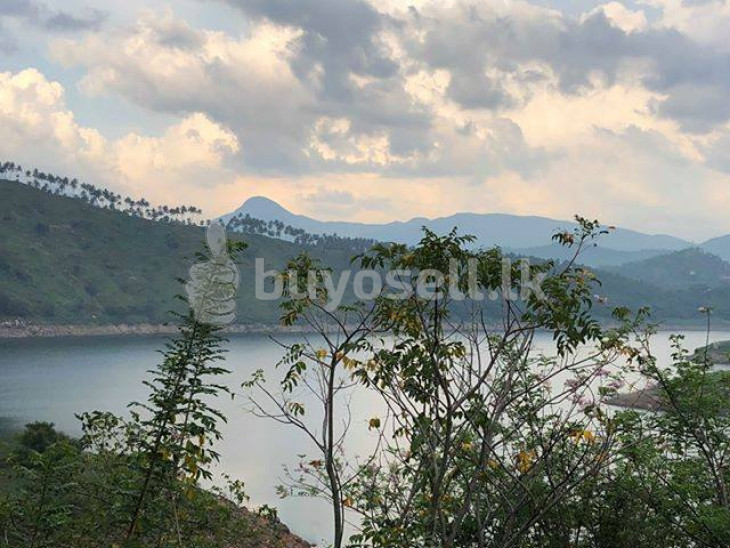 1000P Water front land for sale in Kandy