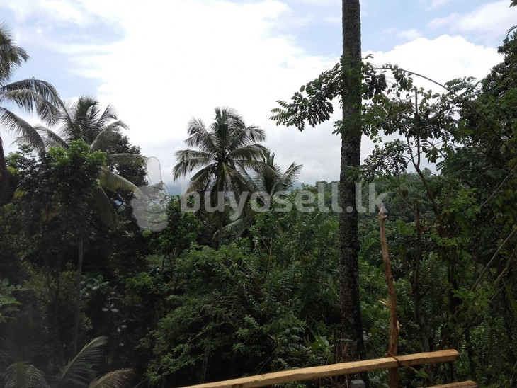 11p Land For Sale In Kandy Dawlagala in Kandy