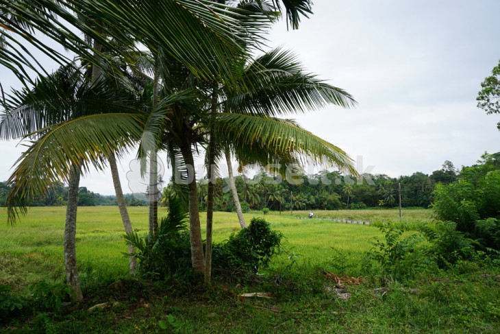 Meepe Land With Paddy Field Views in Galle